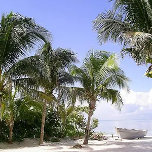 Marysol Beachfront Next To Nomads D6 Isla Mujeres